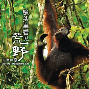 镜头里看见荒野