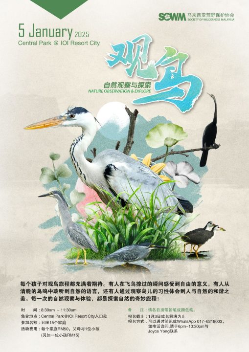 202501_poster