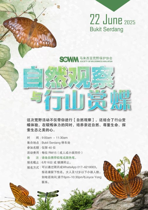 20250607_poster