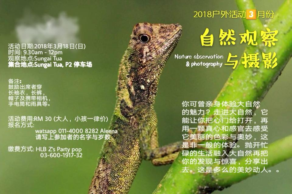 2018荒野自然观察与摄影3月份-Sungai Tua
