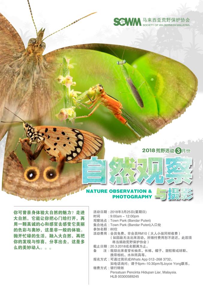 2018荒野自然观察与摄影3月份- Bandar Puteri Town Park